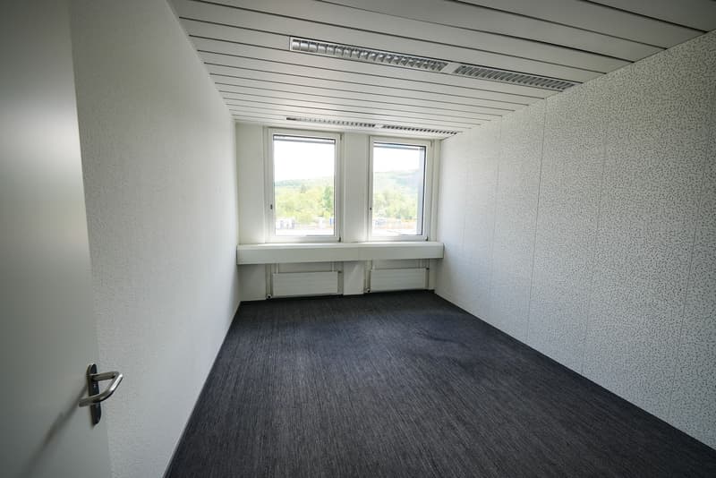 Rental of office/commercial space on the 1st floor (12)