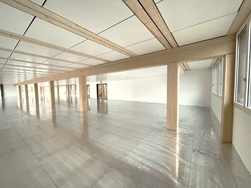 Erstvermietung von grosszügiger und moderner Gewerbefläche im Rohbau (9)
