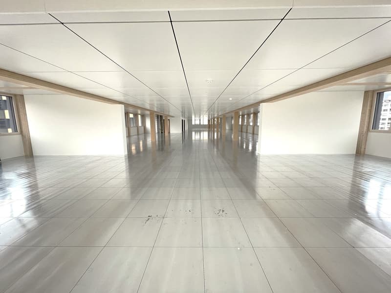 Erstvermietung von grosszügiger und moderner Gewerbefläche im Rohbau (8)