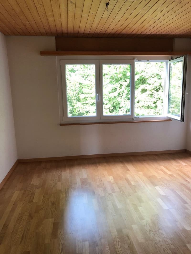 Renovierte 3.5-Zimmer-Attikawohnung Kopie (10)
