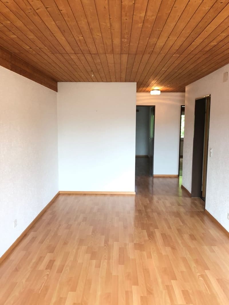 Renovierte 3.5-Zimmer-Attikawohnung Kopie (3)