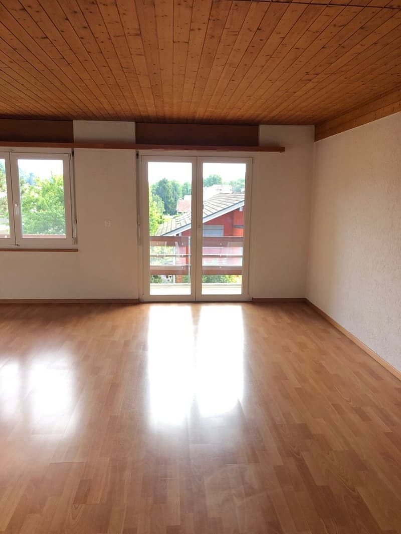Renovierte 3.5-Zimmer-Attikawohnung Kopie (4)