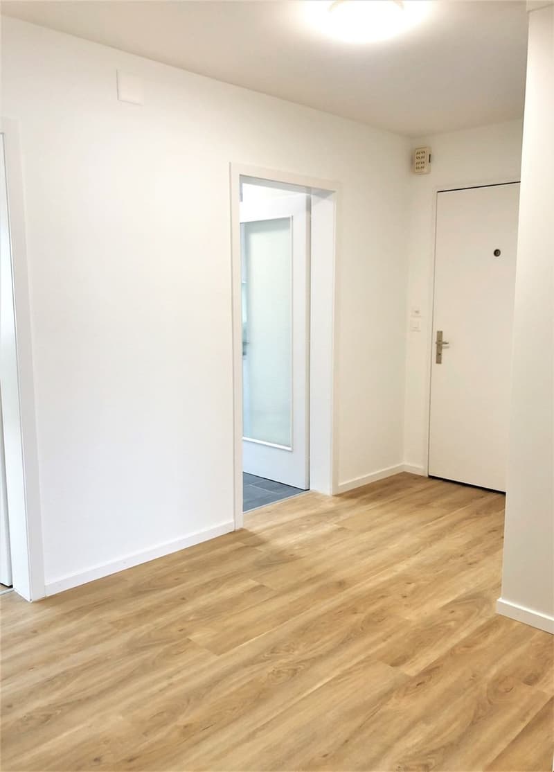 3.0-Zimmerwohnung in Olten - nahe Zentrum (1)