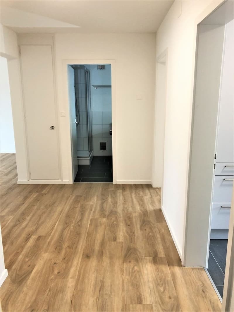 3.0-Zimmerwohnung in Olten - nahe Zentrum (8)
