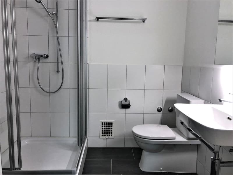 3.0-Zimmerwohnung in Olten - nahe Zentrum (10)