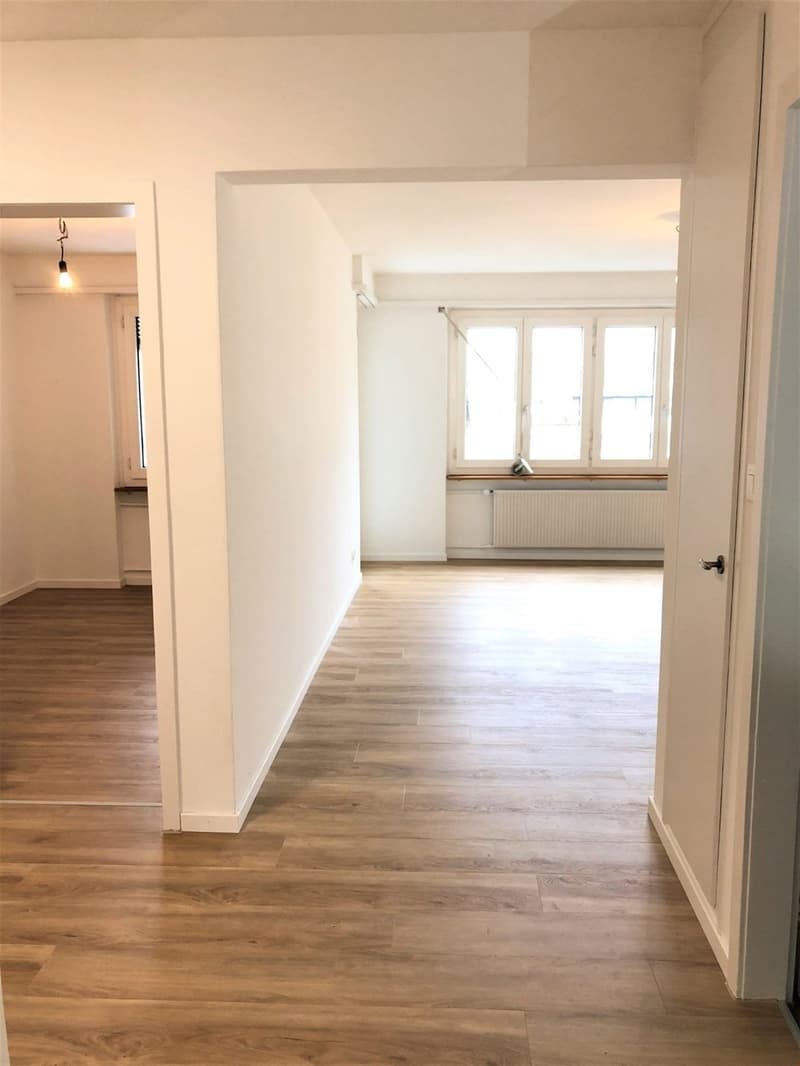 3.0-Zimmerwohnung in Olten - nahe Zentrum (5)