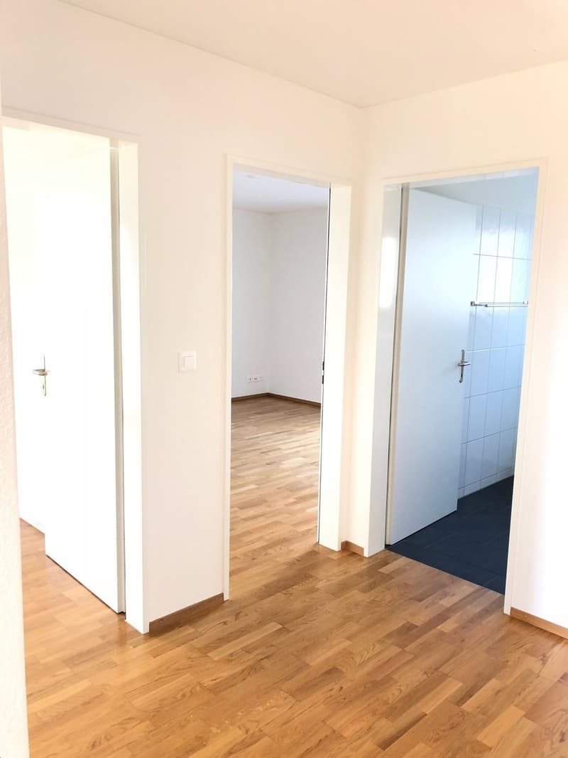Schöne 4.5-Zimmer-Wohnung mit Balkon und Aussicht in Kappel (6)