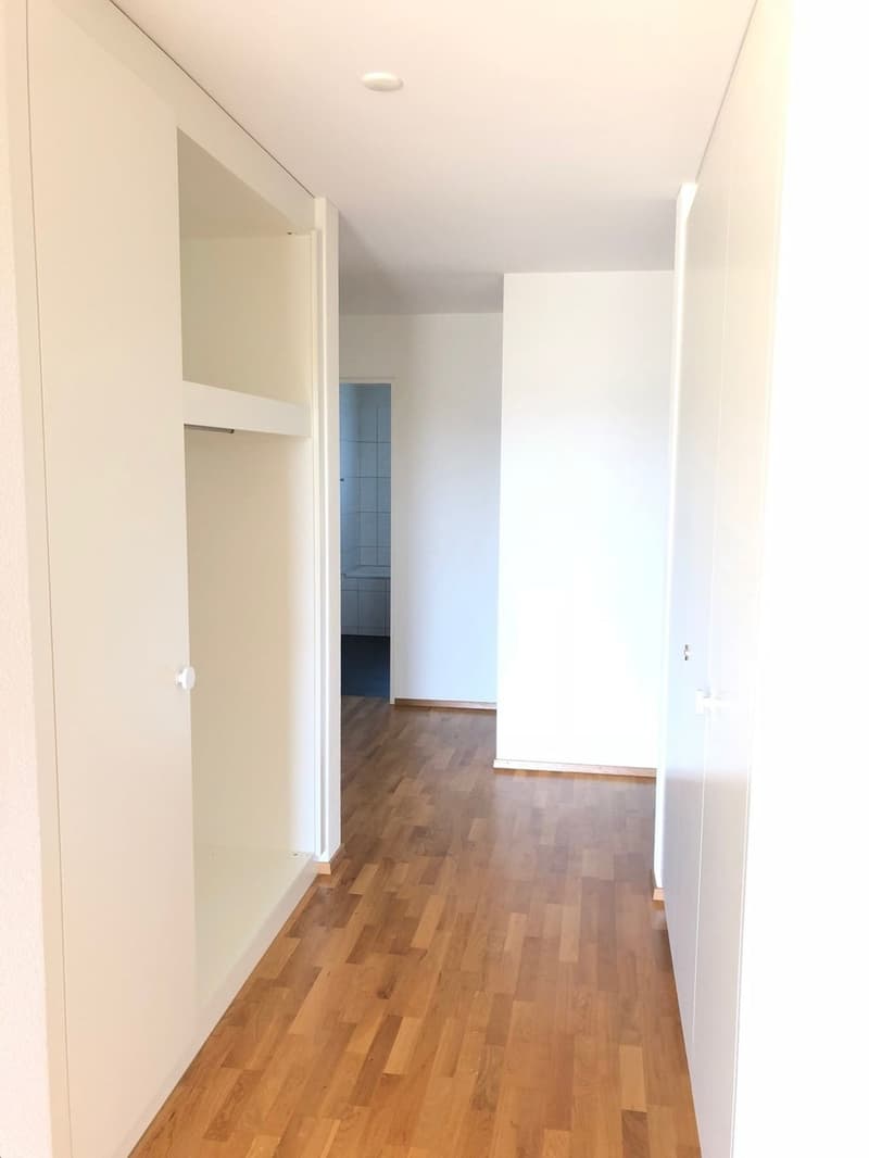 Schöne 4.5-Zimmer-Wohnung mit Balkon und Aussicht in Kappel (5)