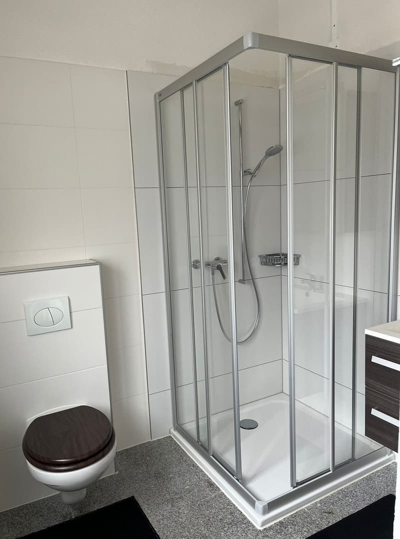 Schöne, grosszügige 2-Zimmerwohnung im Erdgeschoss mit Sitzplatz (3)