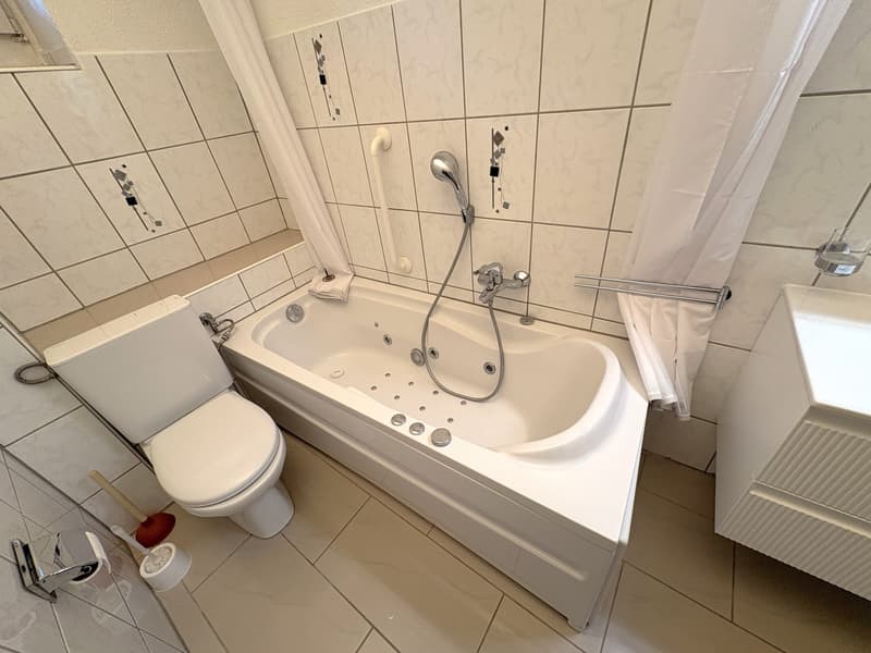 Renovierte 2.5-Zimmerwohnung in Olten  modern & gemütlich (3)