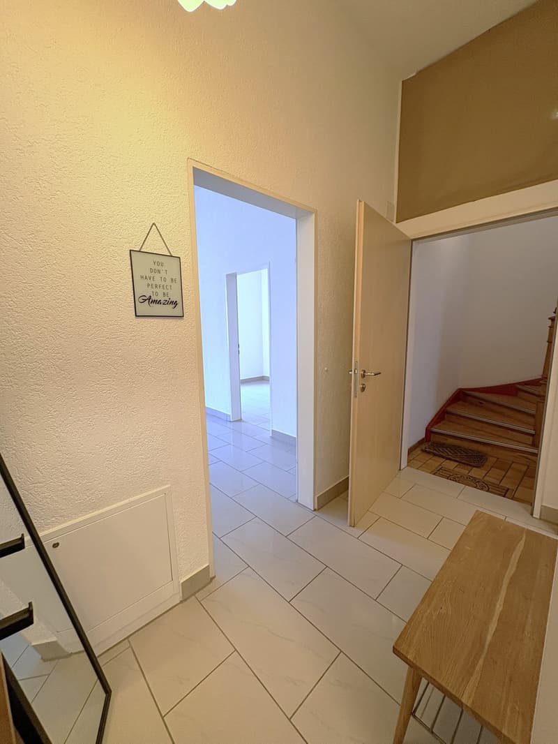 Renovierte 2.5-Zimmerwohnung in Olten  modern & gemütlich (9)
