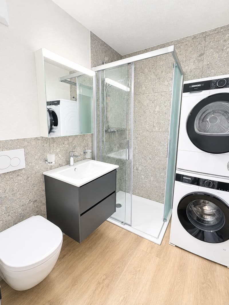 Exklusive, neu renovierte 4.5-Zimmerwohnung mit Studio an zentraler Lage in Sissach (5)