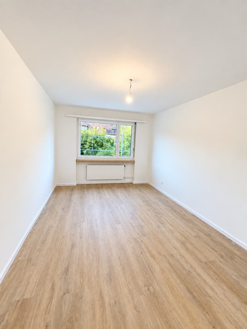 Exklusive, neu renovierte 4.5-Zimmerwohnung mit Studio an zentraler Lage in Sissach (10)