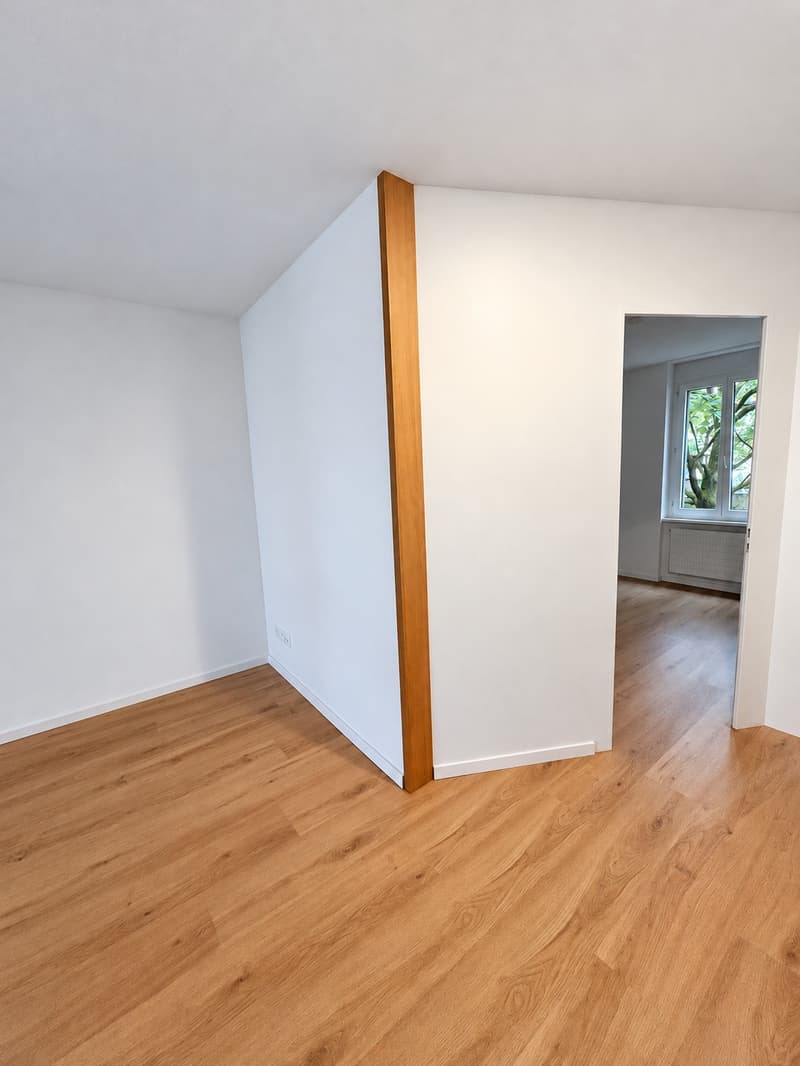Charmante 2.0-Zimmer-Wohnung in Olten nur wenige Gehminuten vom Bahnhof SBB entfernt (8)