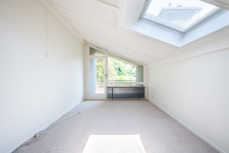 empty room, white walls, carpeted floor, glass door, balcony, skylight