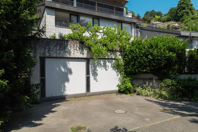 Modern house with white garage doors, concrete driveway, surrounded by greenery