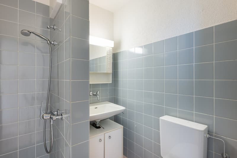 Bathroom with blue tiles, white sink, shower, toilet, and towel rack