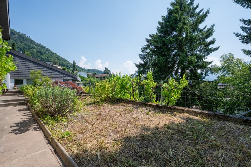 A garden with a variety of plants and trees, surrounded by a fence, with a pathway leading to a house.