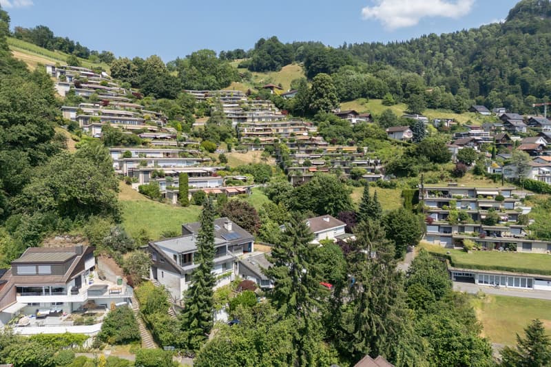 Houses on a hillside, surrounded by trees and grass, solar panels on some roofs