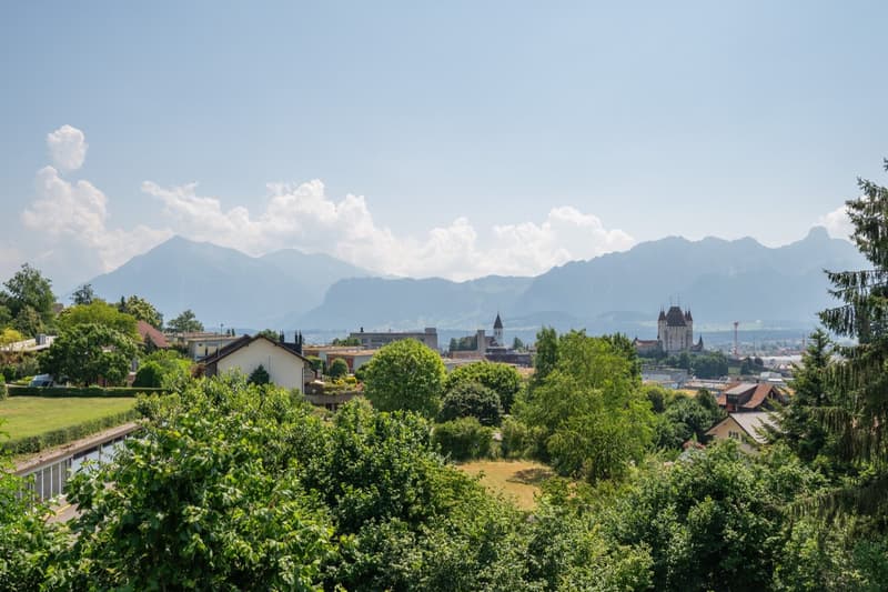 Aerial view of a town with houses, mountains, and trees