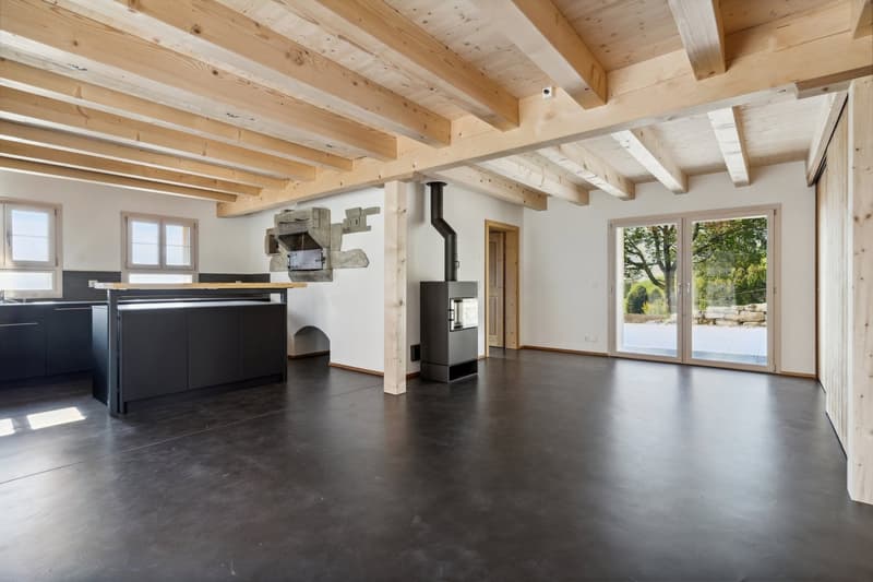 open room, black floors, large windows, kitchen island, fireplace