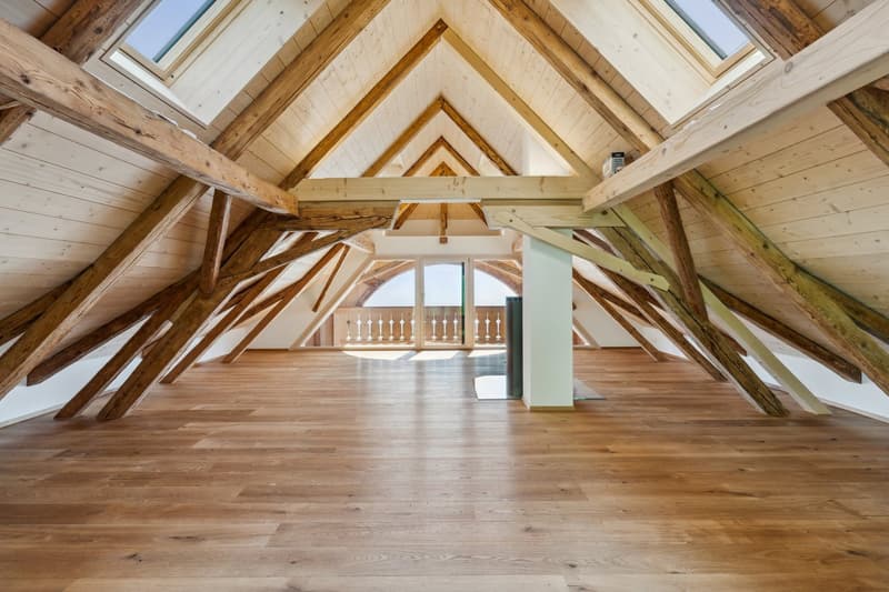 attic room, wooden ceiling and walls, wooden floor, skylights, balcony