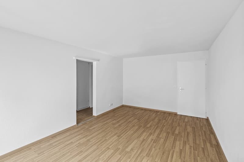 empty room, wooden floor, white walls, two doors