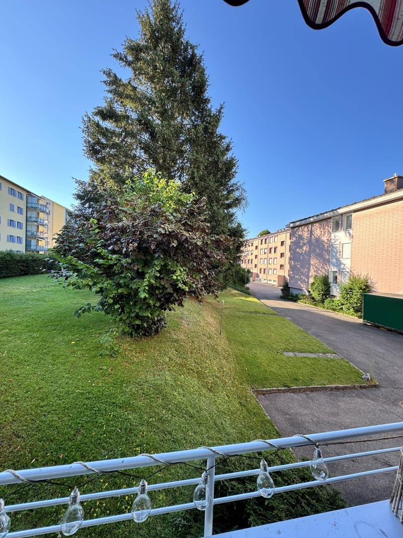 Charmante Wohnung in ruhiger Lage in Langnau im Emmental (7)