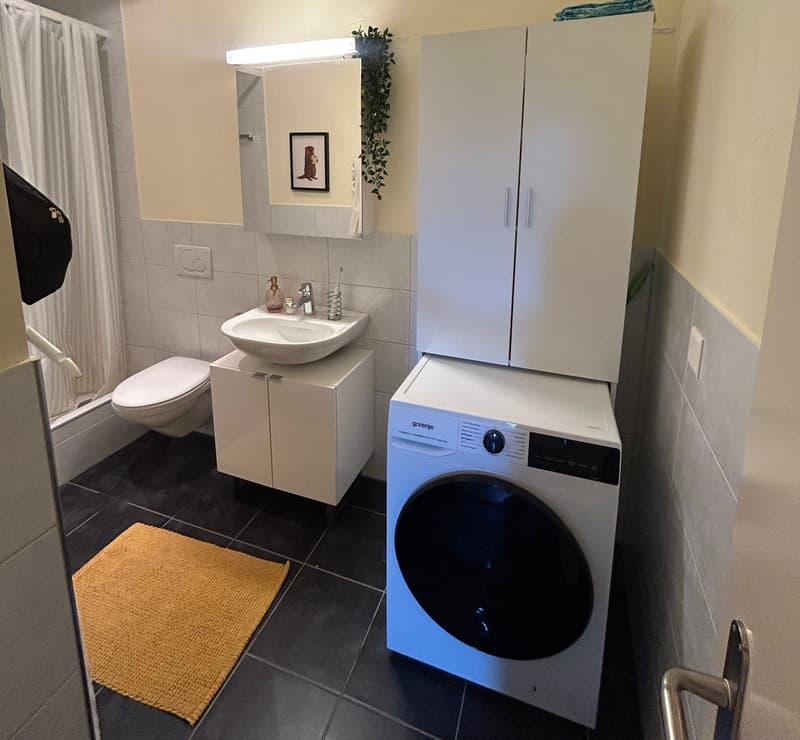 Moderne Singlewohnung in der Altstadt (4)