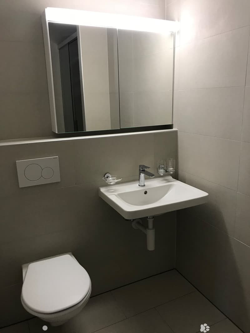 Wohnen im Zentrum von Biel (3)
