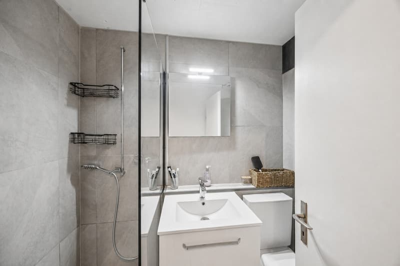 Adlatus AG | Stilvolles 5-Zimmer-Reihenhaus in Safnern (4)