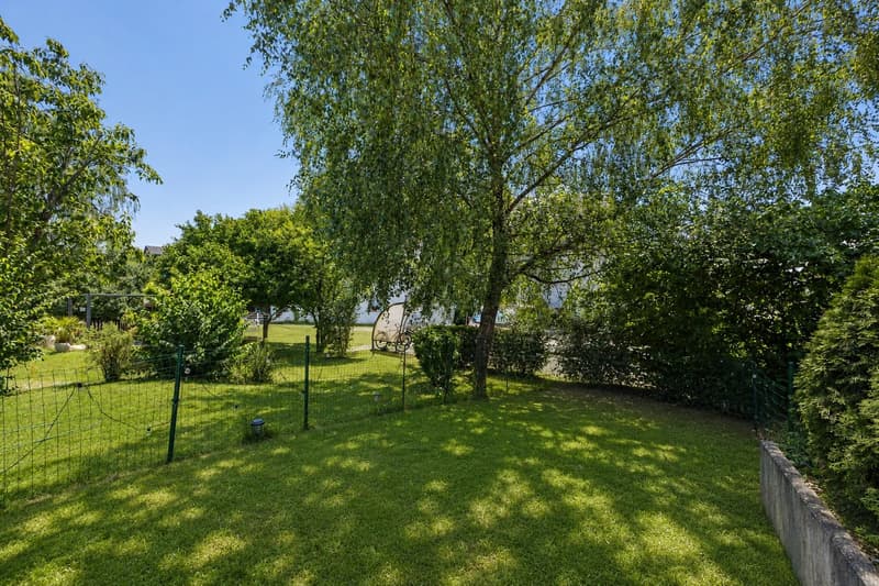 Adlatus AG | Stilvolles 5-Zimmer-Reihenhaus in Safnern (10)