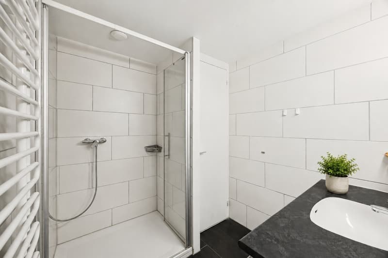 Adlatus AG | naturnahes Wohnen in urbaner Nähe (8)