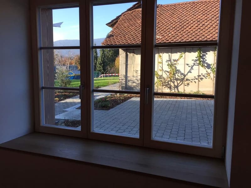 Wohn-Oase mit Pool und grossem Garten (21)