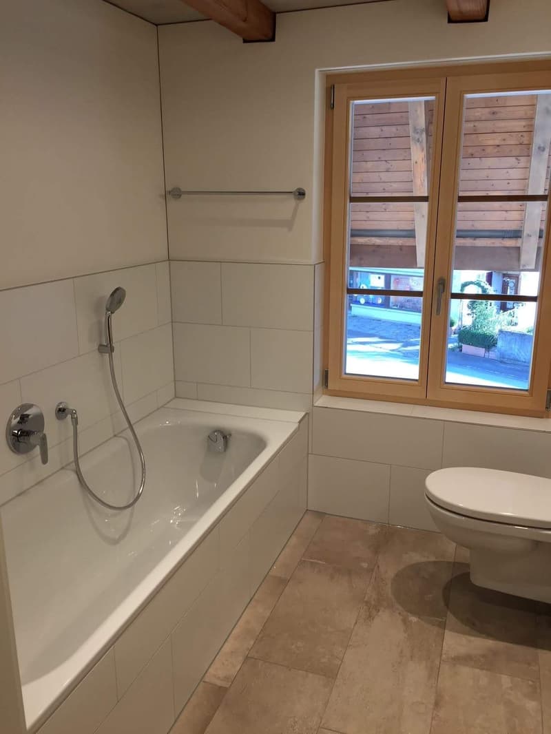 Wohn-Oase mit Pool und grossem Garten (14)