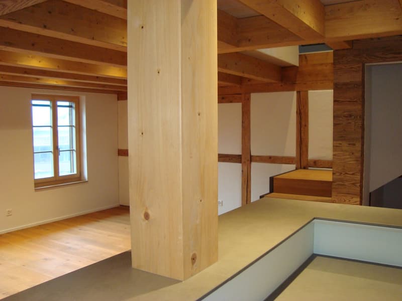 Wohn-Oase mit Pool und grossem Garten (4)