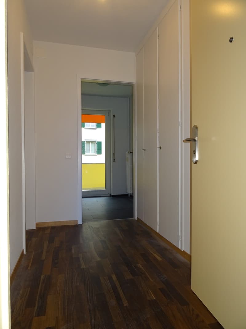 Schmuckstück im Trendquartier Breitsch (2)