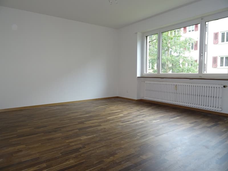 Schmuckstück im Trendquartier Breitsch (7)