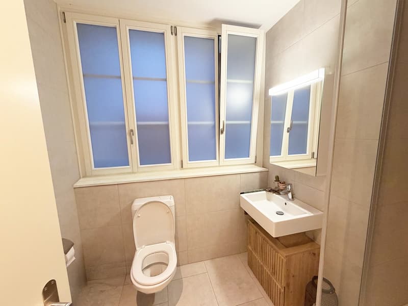 Modernisierte 3.5-Zimmer-Wohnung im Zentrum der Altstadt (10)