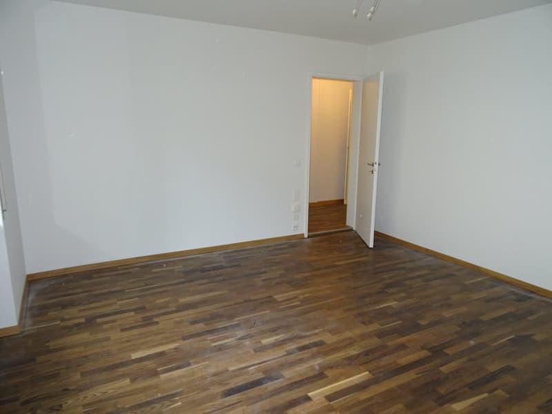 Schmuckstück im Trendquartier Breitsch (4)