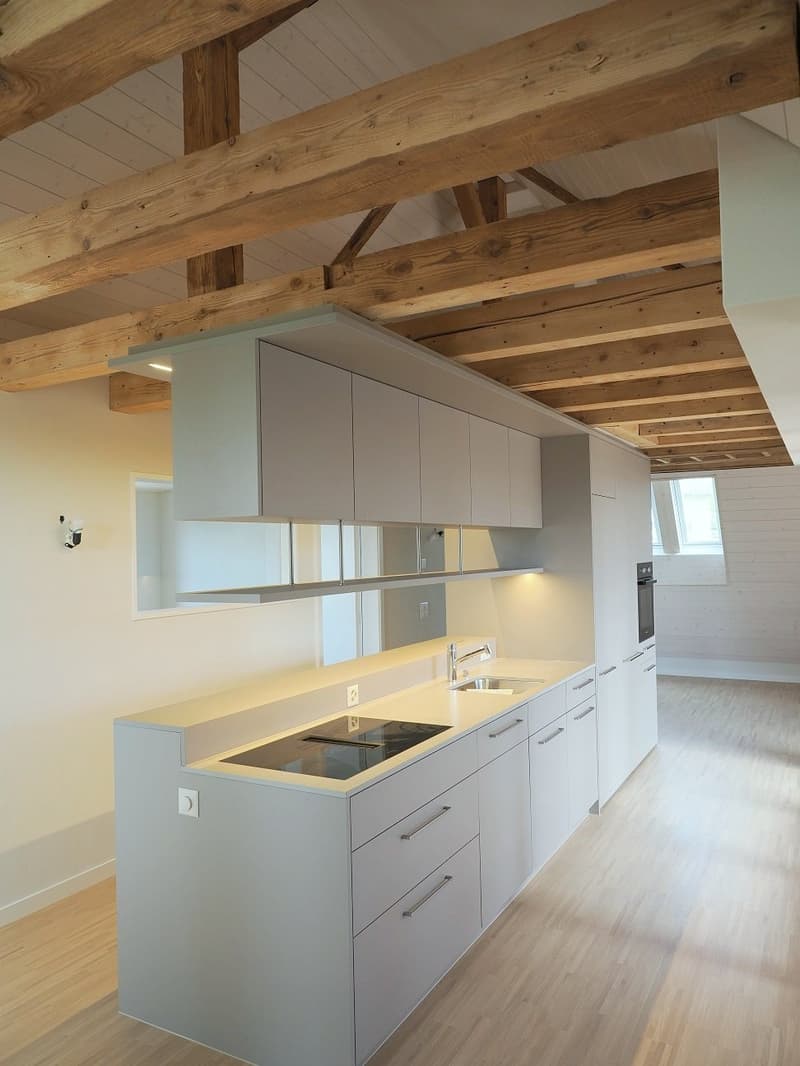 Neu erstellte 1.5-Zimmer-Dachwohnung in herrlicher Villa in Herzogenbuchsee (1)