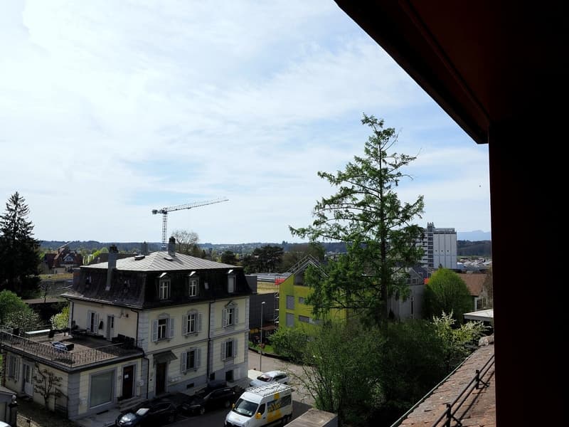 Neu erstellte 1.5-Zimmer-Dachwohnung in herrlicher Villa in Herzogenbuchsee (15)