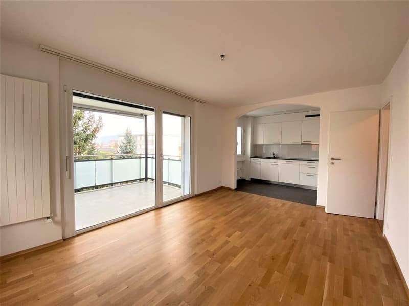 Modern ausgebaute 4.5-Zimmerwohnung in Niedergösgen zu vermieten (2)