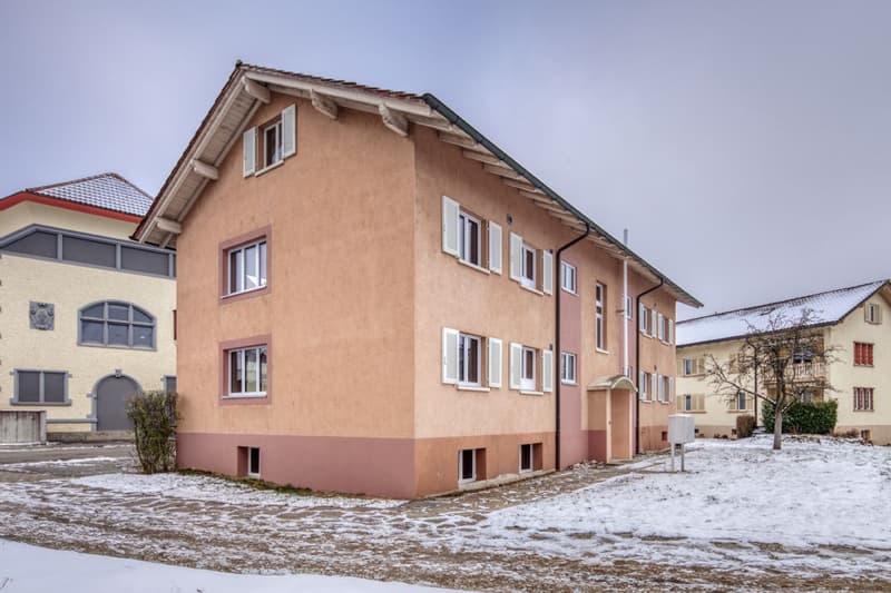 Komplett sanierte 3.5-Zimmerwohnungen in Oberentfelden zu vermieten (7)