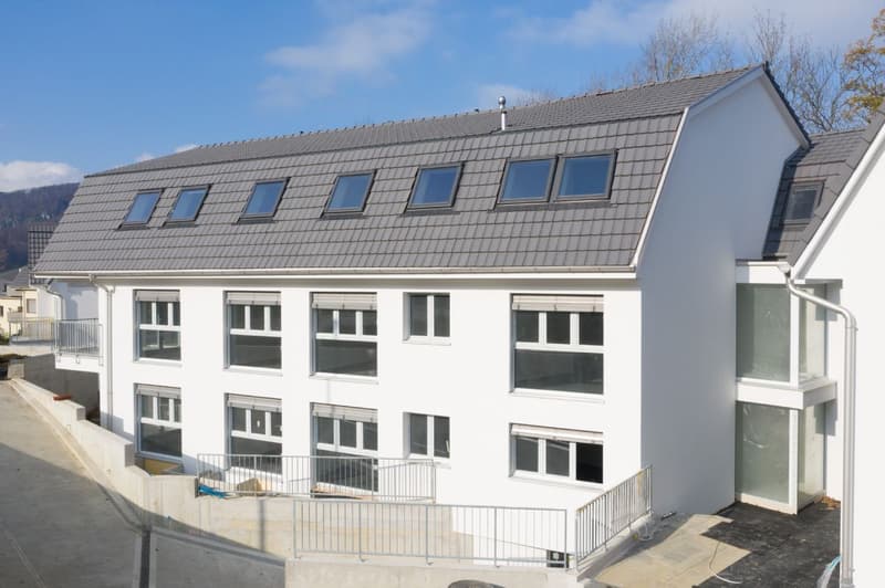 Moderne 2.5-Zimmerwohnung in Grellingen per sofort zu vermieten (1)