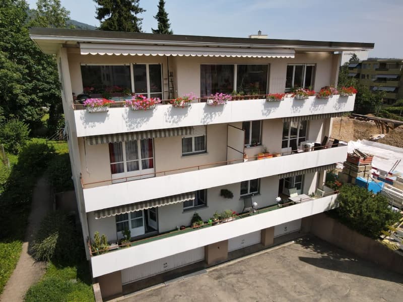 Charmante 7-Zimmerwohnung in Trimbach zu vermieten (2)