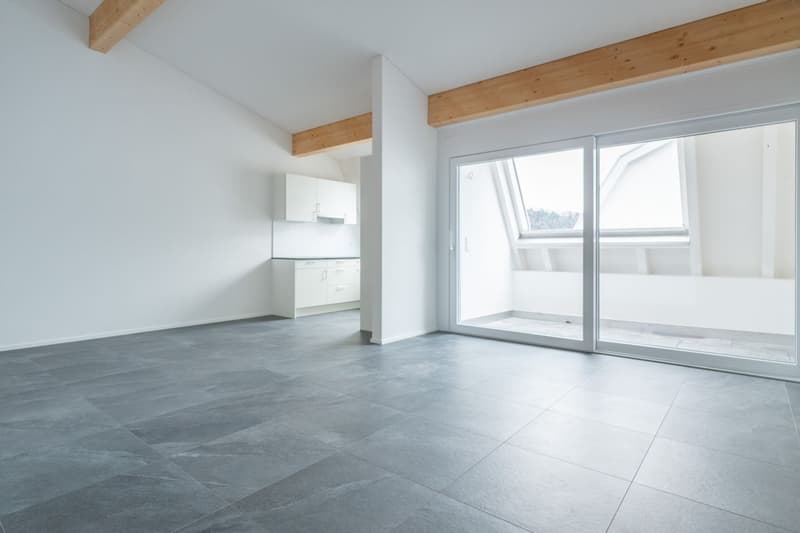 Ihre neue 6.5-Zimmerwohnung im Dachgeschoss in Grellingen (2)