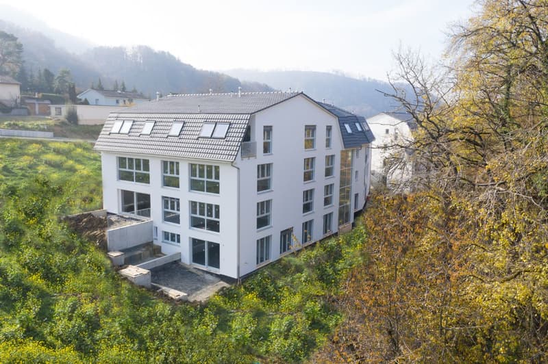 Ihre neue 6.5-Zimmerwohnung im Dachgeschoss in Grellingen (1)