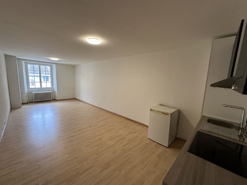 Grosse und helle 1-Zimmerwohnung in Balsthal zu vermieten (2)