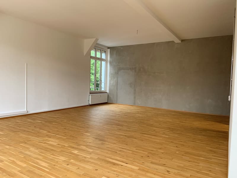 Office space in Wangen bei Olten (2)